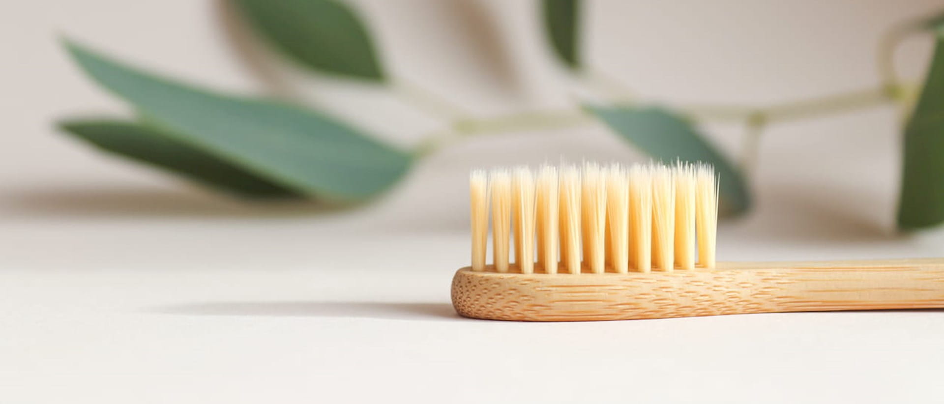 Bamboo toothbrush with leaves in background