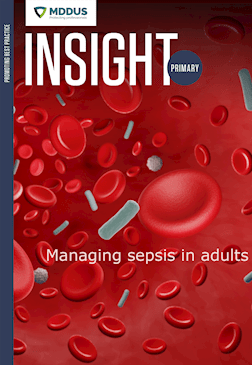 Cover of Insight Primary Q4 2022
