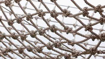 Netting_shutterstock_246637879.jpg